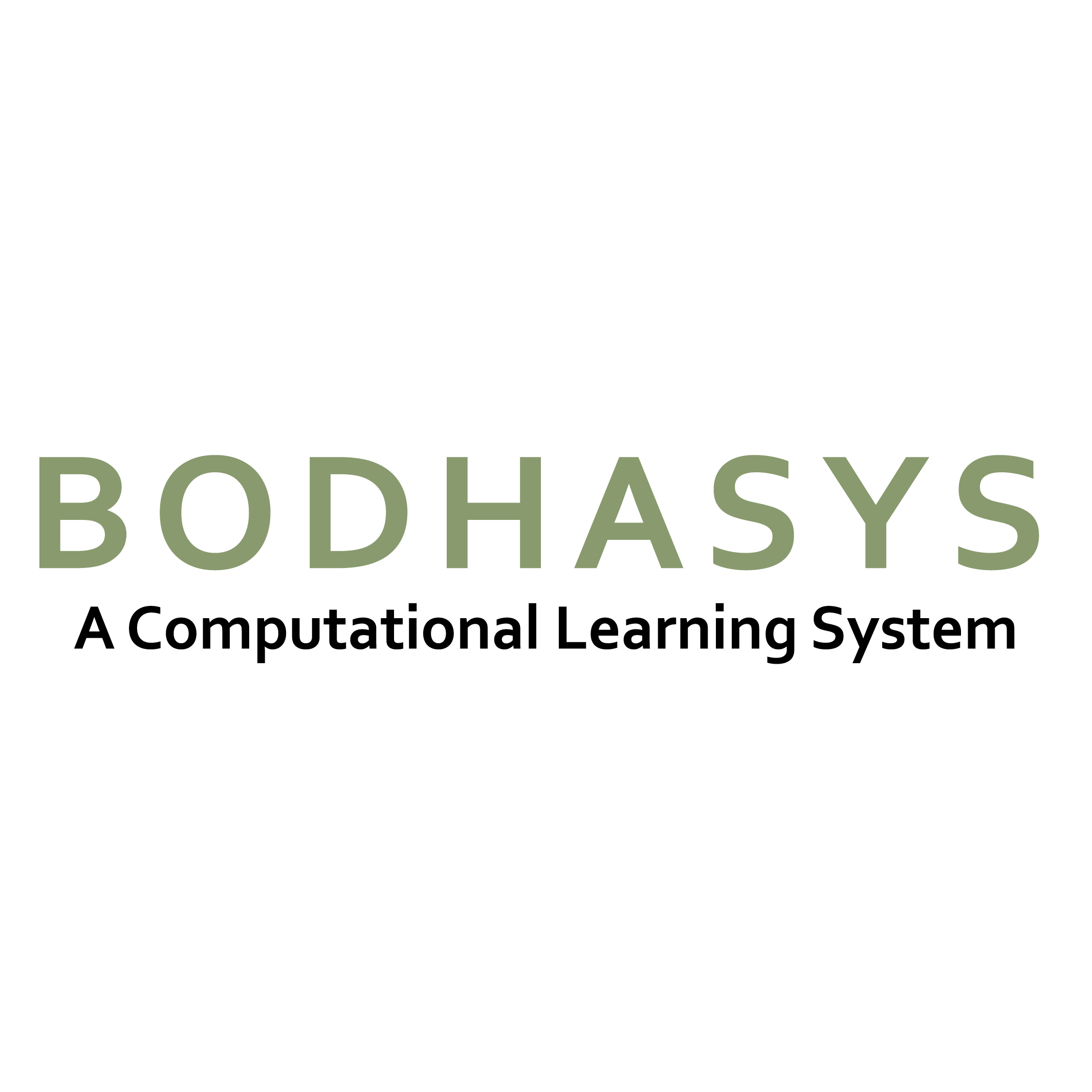 Bodhasys logo